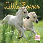 Cover-Bild Little Horses