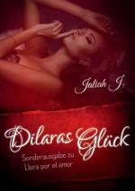 Cover-Bild Llora por el amor 9 - Dilaras Glück