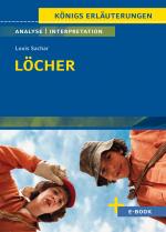 Cover-Bild Löcher von Louis Sachar - Textanalyse und Interpretation