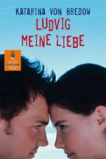 Cover-Bild Ludvig meine Liebe