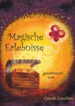 Cover-Bild Magische Erlebnisse