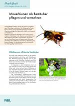 Cover-Bild Mauerbienen als Bestäuber pflegen und vermehren