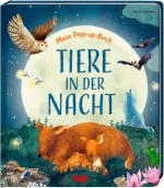 Cover-Bild Mein Pop-up-Buch – Tiere in der Nacht