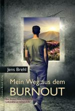 Cover-Bild Mein Weg aus dem Burnout