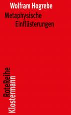 Cover-Bild Metaphysische Einflüsterungen