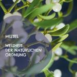 Cover-Bild Mistel - Weisheit der natürlichen Ordnung