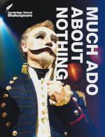 Cover-Bild Much Ado About Nothing