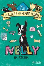 Cover-Bild Nelly im Sturm