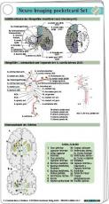 Cover-Bild Neuro Imaging pocketcard Set