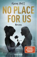 Cover-Bild No Place For Us