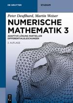 Cover-Bild Numerische Mathematik 3