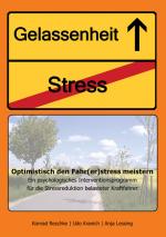 Cover-Bild Optimistisch den Fahr(er)stress meistern