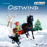 Cover-Bild Ostwind. Ein besonderes Weihnachtsgeschenk & Seehunde in Not