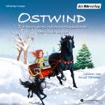 Cover-Bild Ostwind. Ein besonderes Weihnachtsgeschenk & Seehunde in Not