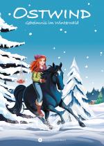 Cover-Bild Ostwind – Geheimnis im Winterwald
