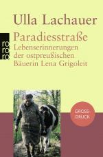 Cover-Bild Paradiesstraße