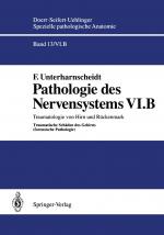 Cover-Bild Pathologie des Nervensystems VI.B