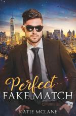 Cover-Bild Perfect Fake Match