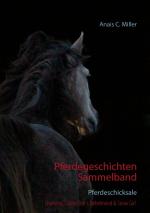 Cover-Bild Pferdegeschichten Sammelband
