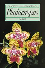 Cover-Bild Phalaenopsis