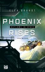 Cover-Bild Phoenix Rises