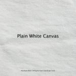 Cover-Bild Plain White Canvas