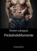 Cover-Bild Prickelnde Momente