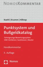 Cover-Bild Punktsystem und Bußgeldkatalog