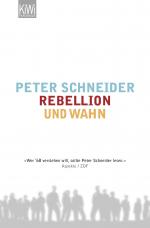 Cover-Bild Rebellion und Wahn
