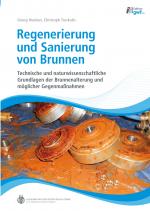 Cover-Bild Regenerierung und Sanierung von Brunnen