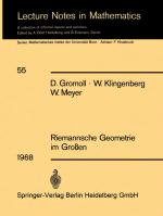 Cover-Bild Riemannsche Geometrie im Großen