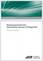 Cover-Bild Rotationssymmetrischer hydraulischer Sprung in Flüssigmetall. (KIT Scientific Reports ; 7568)