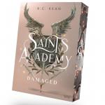 Cover-Bild Saints Academy 2 - Damaged