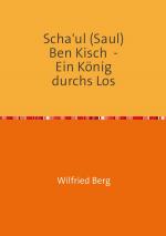 Cover-Bild Scha'ul (Saul) Ben Kisch - Ein König durchs Los