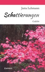 Cover-Bild Schattierungen