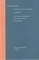 Cover-Bild Scheunen im Gelände. Gedichte