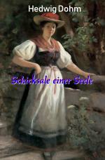 Cover-Bild Schicksale einer Seele