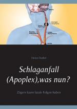 Cover-Bild Schlaganfall (Apoplex), was nun?