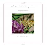 Cover-Bild Schmetterlingszeit