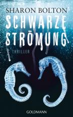 Cover-Bild Schwarze Strömung - Lacey Flint 4