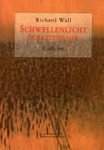 Cover-Bild Schwellenlicht \ Schattenbahn