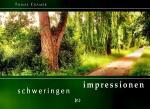 Cover-Bild SCHWERINGEN IMPRESSIONEN