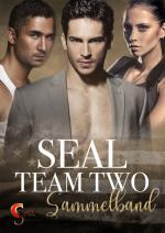 Cover-Bild Seal Team Two Sammelband