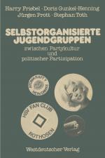 Cover-Bild Selbstorganisierte Jugendgruppen zwischen Partykultur und politischer Partizipation