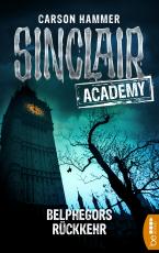 Cover-Bild Sinclair Academy - 13