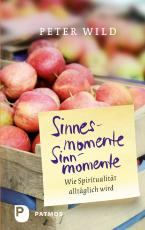 Cover-Bild Sinnesmomente - Sinnmomente