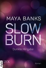 Cover-Bild Slow Burn - Dunkle Hingabe
