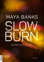 Cover-Bild Slow Burn - Gefährliche Lust