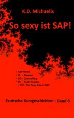 Cover-Bild So sexy ist SAP! Band 6
