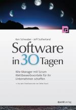 Cover-Bild Software in 30 Tagen